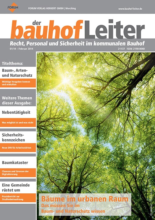 Februar 2014<br>Bäume im urbanen Raum