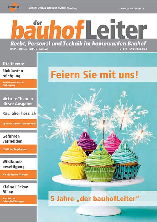 Ausgabe Oktober 2015 Sinkkastenreinigung