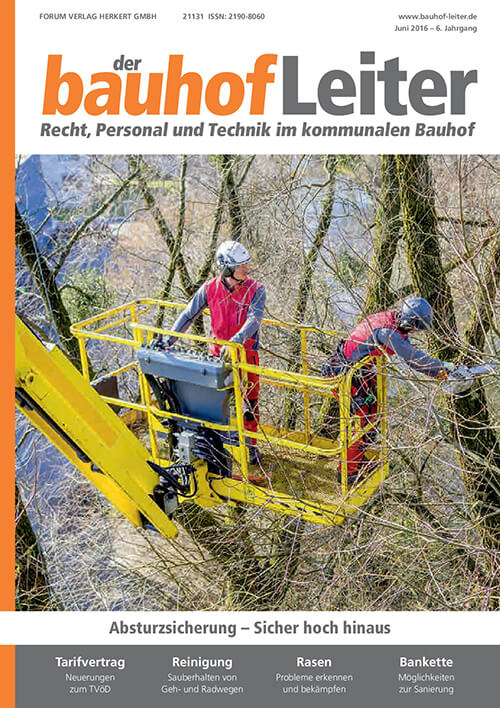 Ausgabe Juni 2016 Absturzsicherung