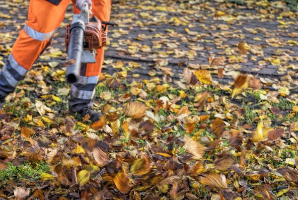 2018-12 Arbeiten der Grünflächenpflege Header