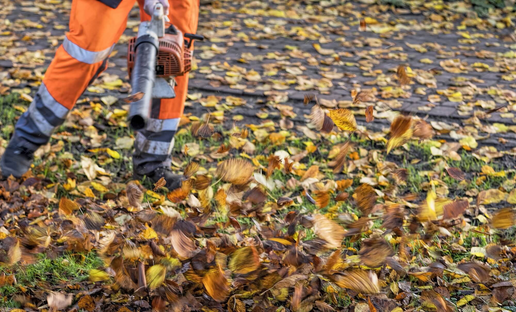 Kosten- und Leistungsrechnung – Arbeiten der Grünflächenpflege