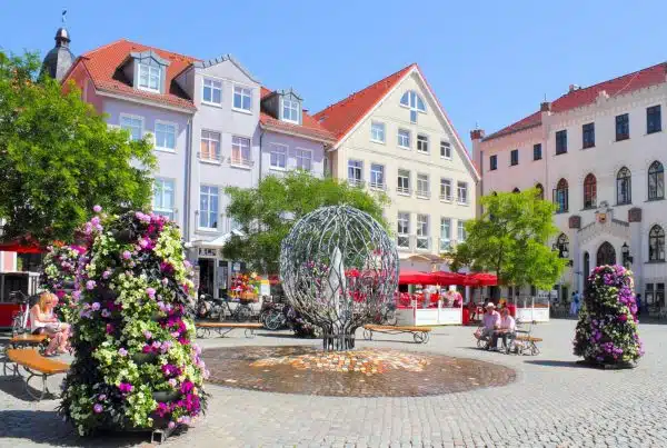 2020-02 Kommunale Bepflanzung Header