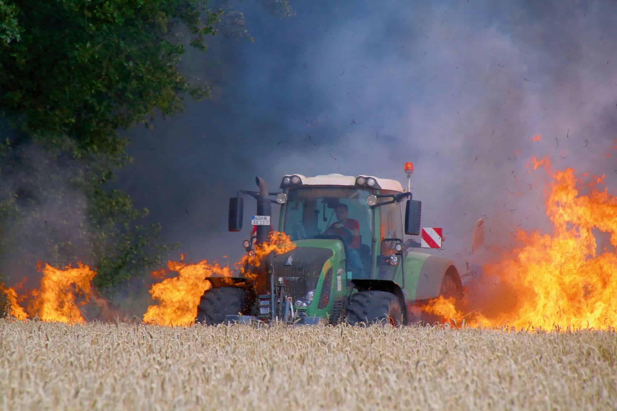 Vegetationsbrände – Feuergefahr verringern