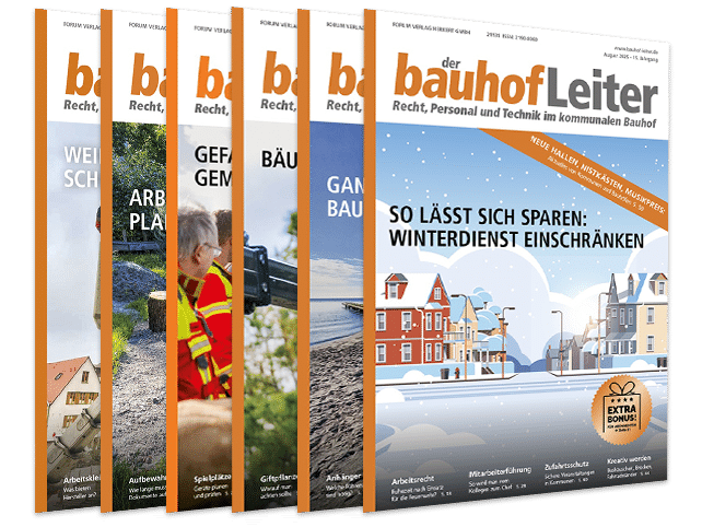 6-cover